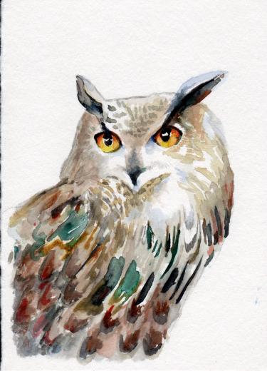 Owl - Watercolor on paper