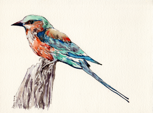 Bird 3 - Watercolor on paper