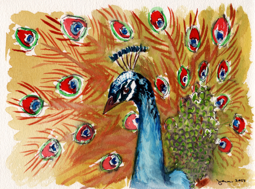 Peacock - Watercolor on paper