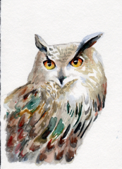 Owl - Watercolor on paper